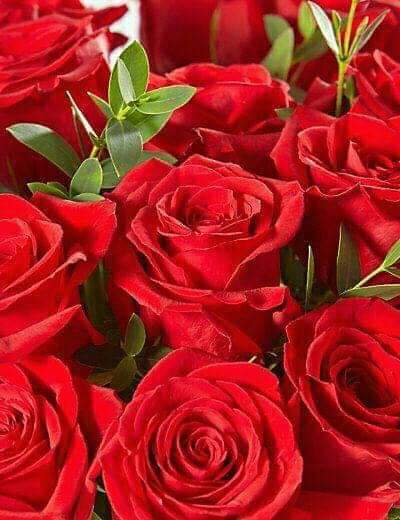 FB_IMG_1583425777588