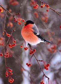 IMG_1583509748752