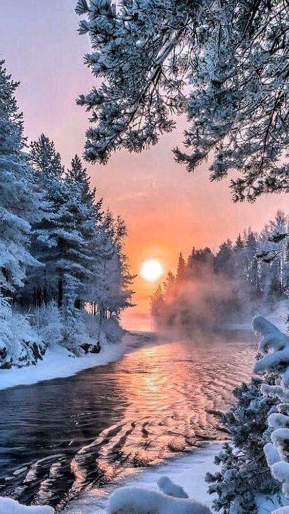 FB_IMG_1583509488653