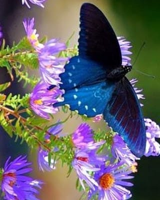 IMG_20200320_151332_300