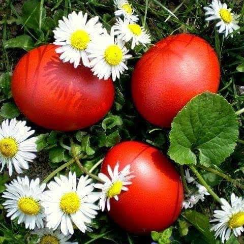 FB_IMG_1583347906897